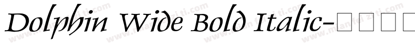 Dolphin Wide Bold Italic字体转换